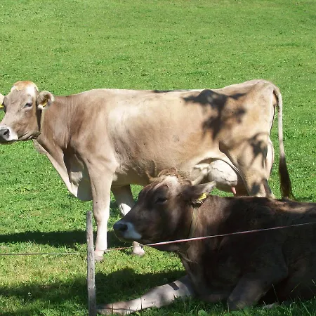 Apartmán Floachhof Weerberg