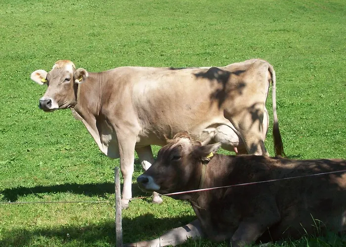 Апартаменты Floachhof Верберг